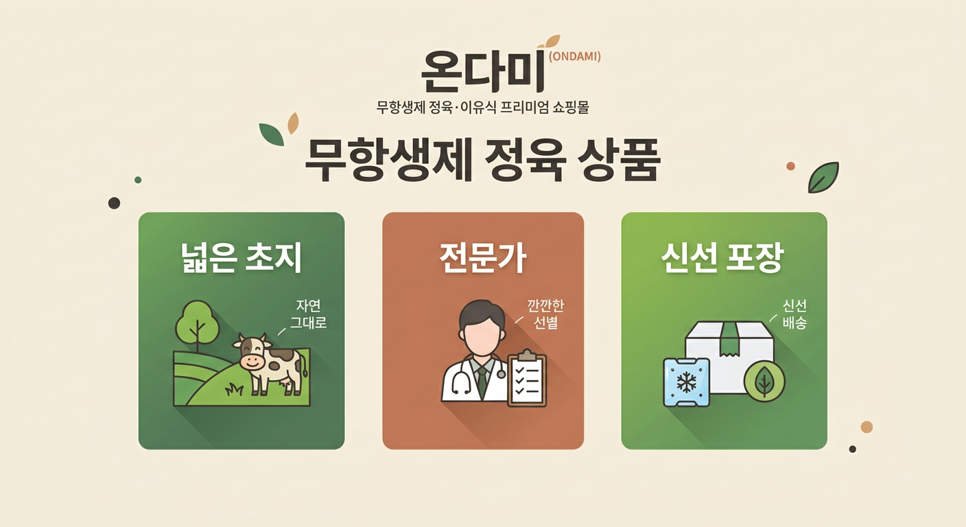 특징 인포그래픽