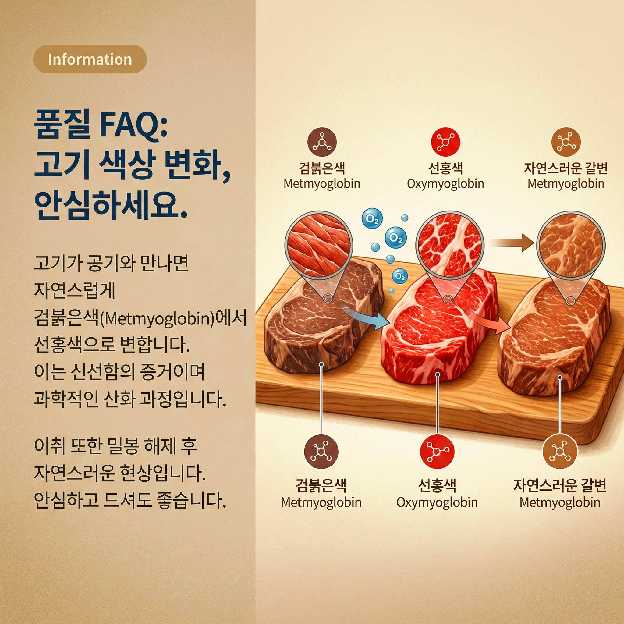 교환/반품 안내